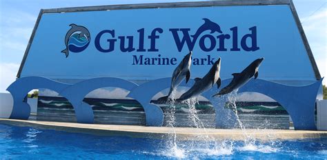 Gulf world marine park - Panama City Beach: Gulf World Marine Park Entry Ticket. 4.1 / 5 99 reviews. Activity provider: The Dolphin Company. Add to wishlist. View all 5 images. 1 / 5. Enjoy all-day admission at Gulf World Marine Park in Panama City Beach. See family-friendly exhibits and interact with marine life like stingrays. Watch educational dolphin and sea lion ...